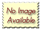 Desert Scene with Fort Worth Texas Sandstone Coaster